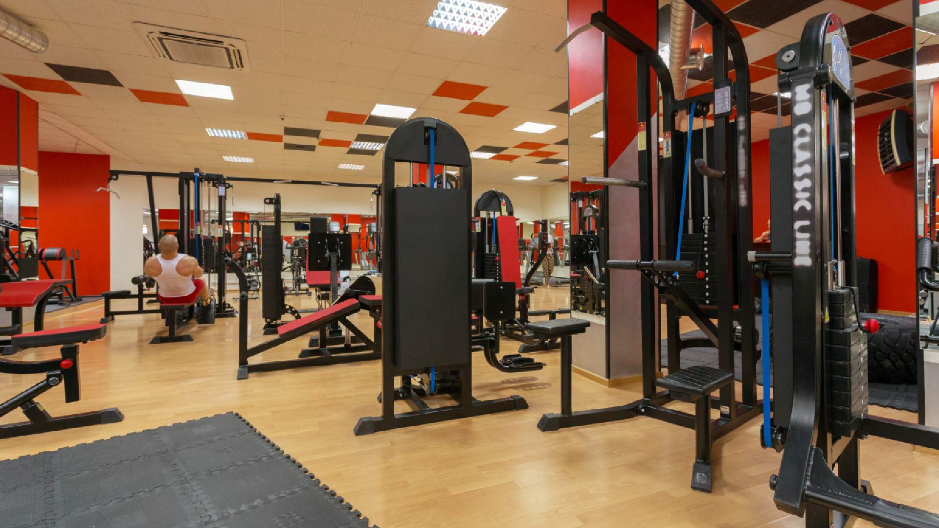 Fitness Tips, Workouts & Transformation Guides